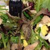 Photo: Woman Finds Frog In Pret A Manger Salad